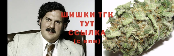 стаф Козловка