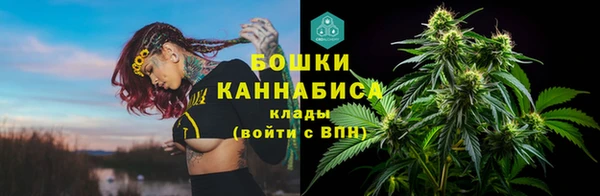 mix Козельск