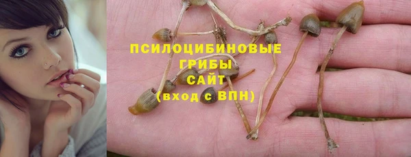 стаф Козловка