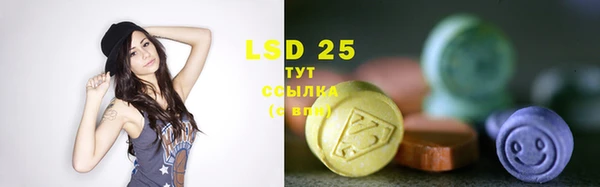 стаф Козловка