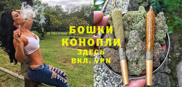 спиды Кодинск