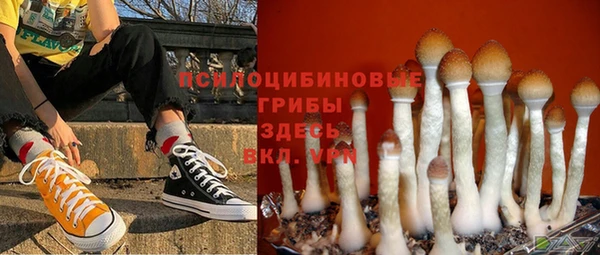 спиды Кодинск