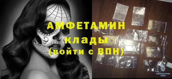 стаф Козловка